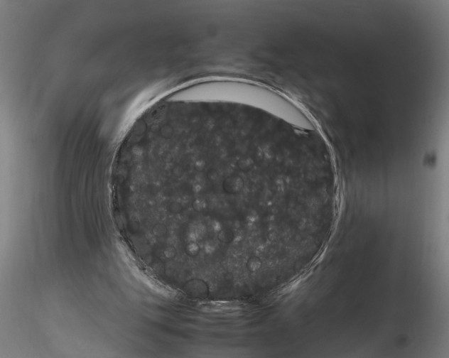 X0000116120151200912141053