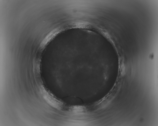 X0000116120154200912141053