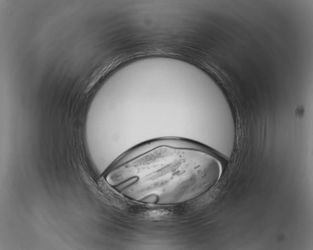X0000116120158200912141053