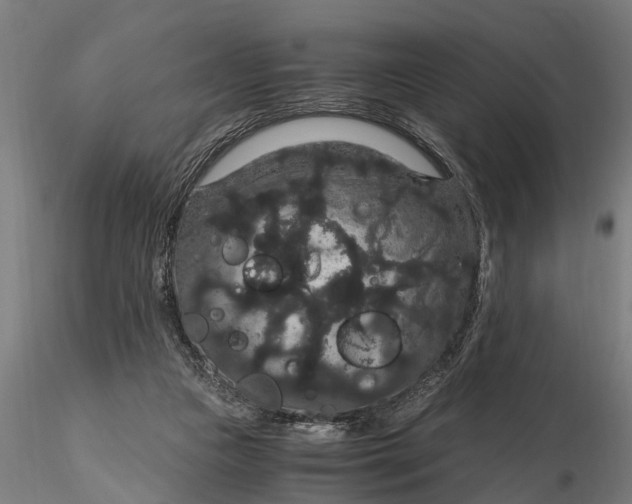 X0000116120161200912141053