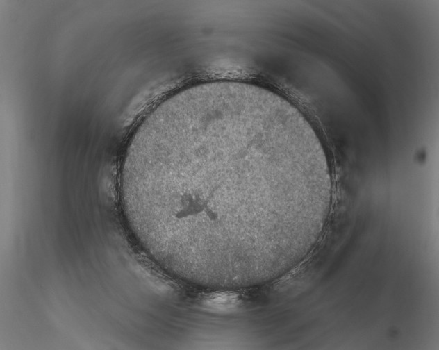 X0000116120162200912141053