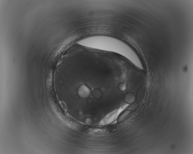 X0000116120163200912141053
