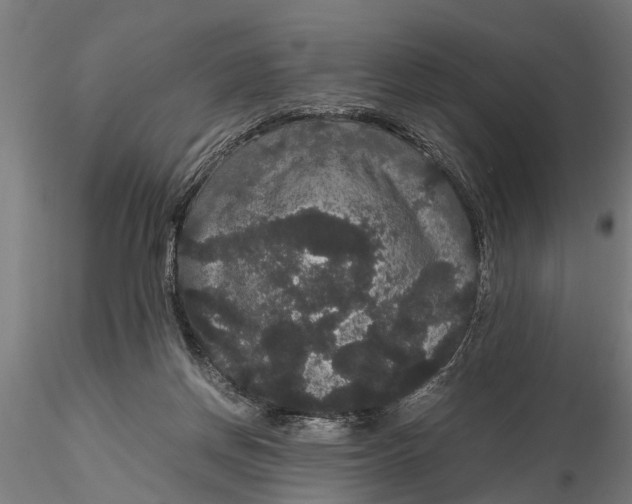 X0000116120166200912141053