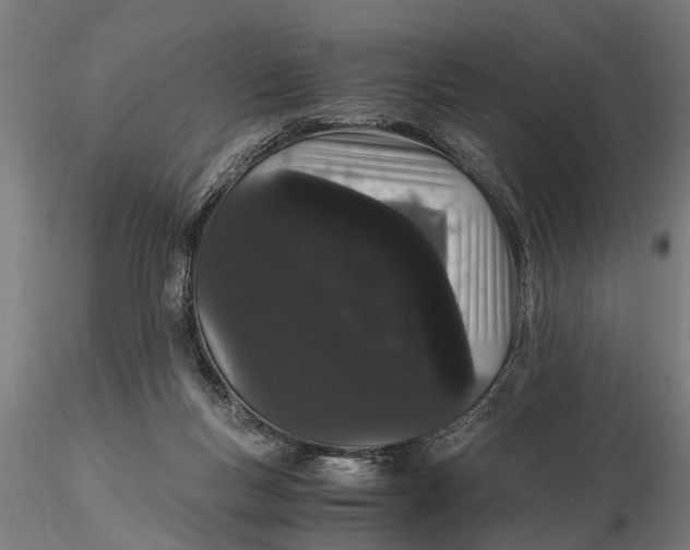 X0000116120167200912141053