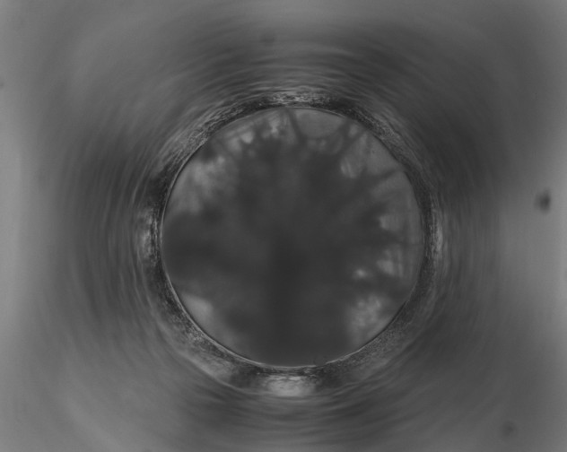 X0000116120169200912141053