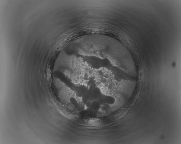 X0000116120173200912141053