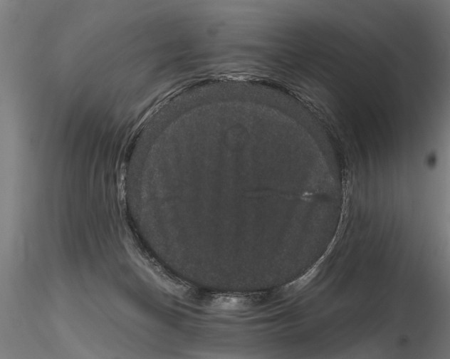 X0000116120174200912141053