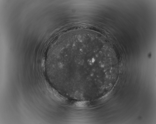 X0000116120178200912141054
