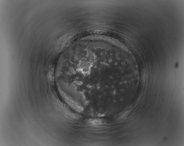 X0000116120181200912141054
