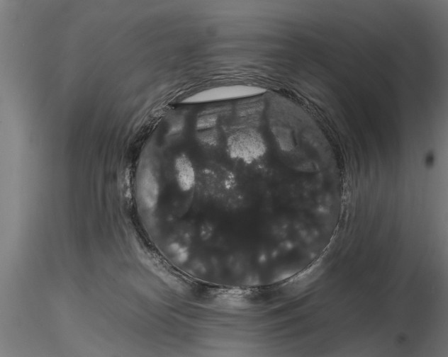 X0000116120182200912141054