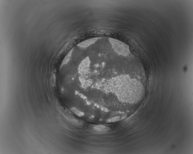 X0000116120183200912141054
