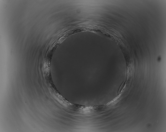 X0000116120186200912141054
