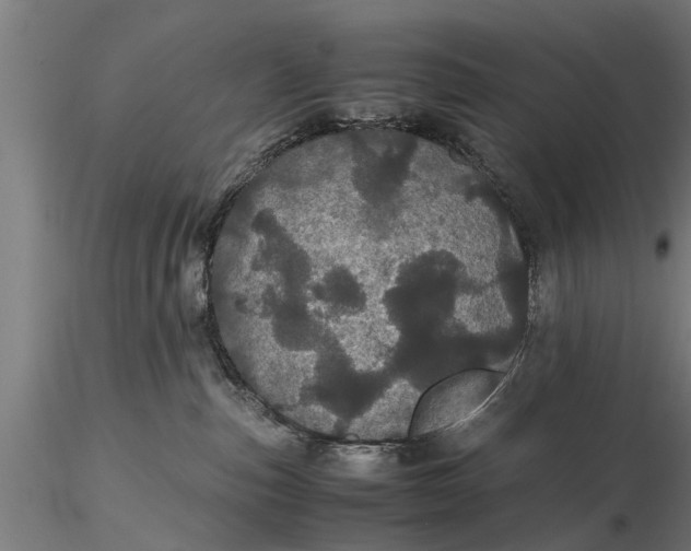 X0000116120187200912141054