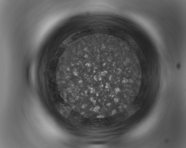 X0000116120189200912141054