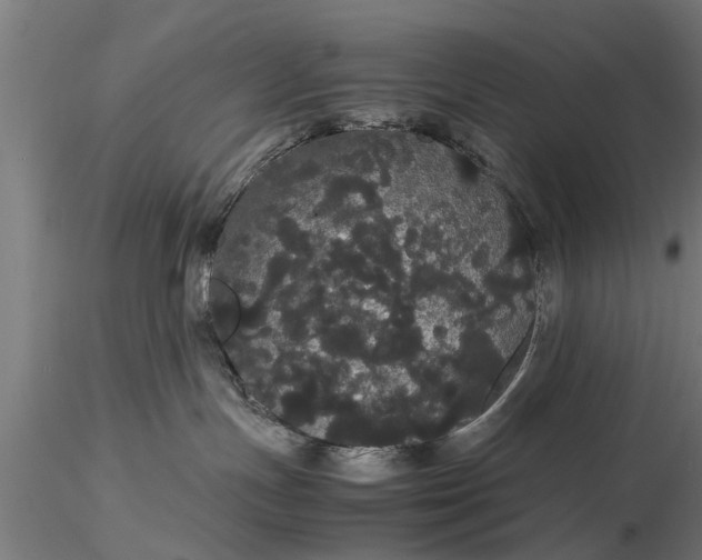 X0000116120191200912141054