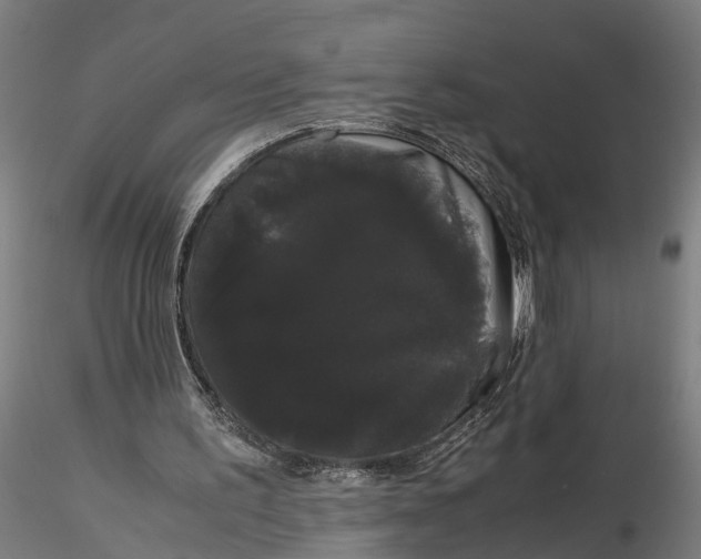 X0000116120195200912141053