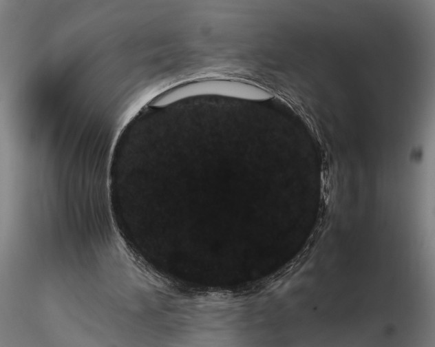 X0000116120196200912141053