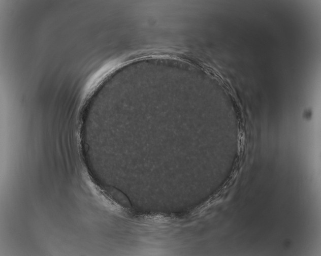 X0000116120197200912141053
