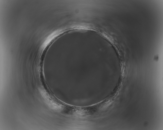 X0000116120199200912141053