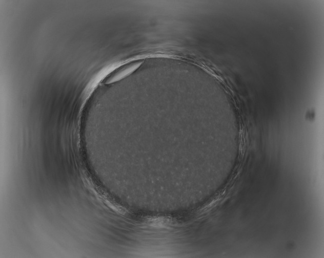 X0000116120200200912141053