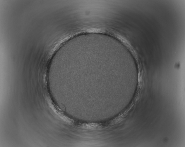 X0000116120201200912141053
