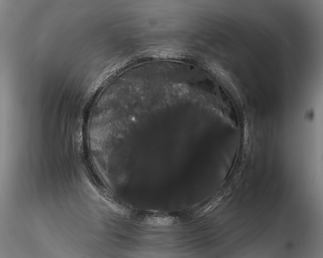 X0000116120202200912141053