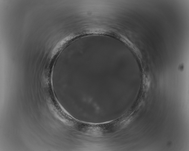 X0000116120203200912141053