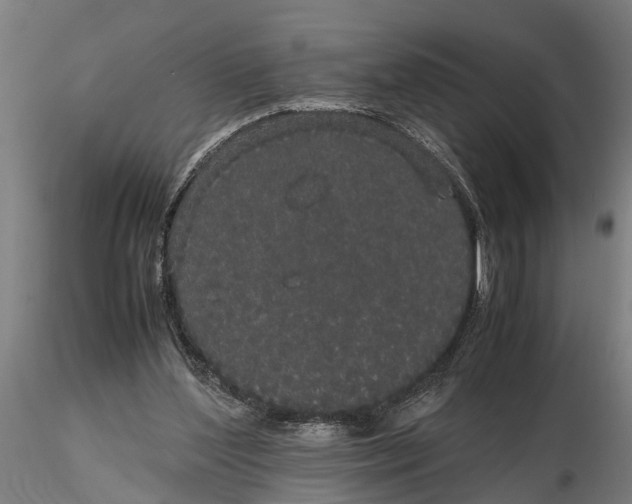 X0000116120204200912141053