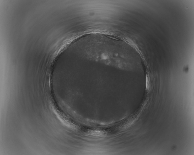 X0000116120205200912141053