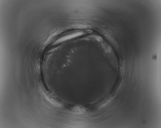 X0000116120207200912141053