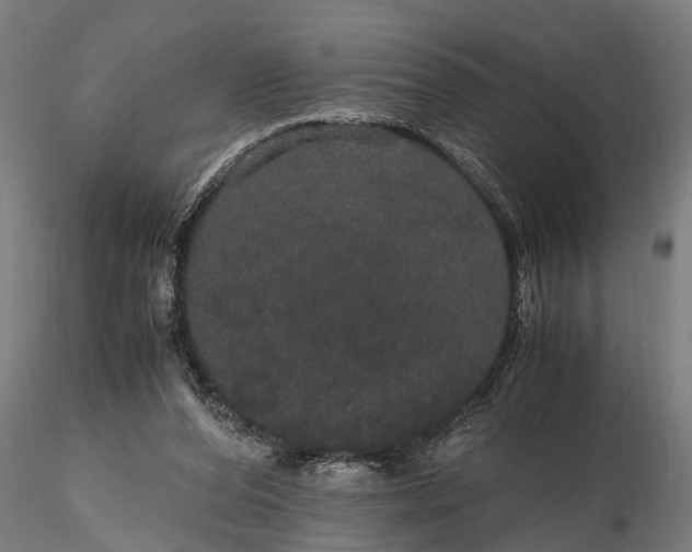 X0000116120208200912141053