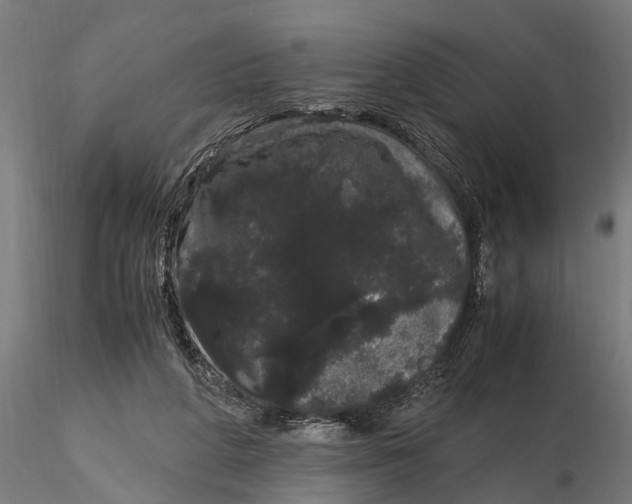 X0000116120210200912141053