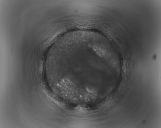 X0000116120211200912141053