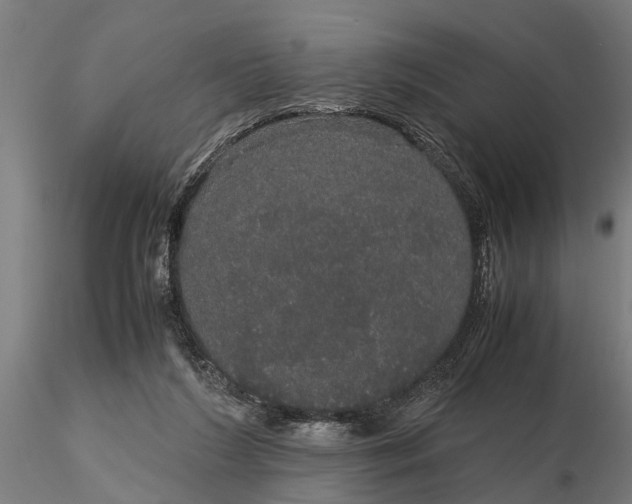 X0000116120212200912141053