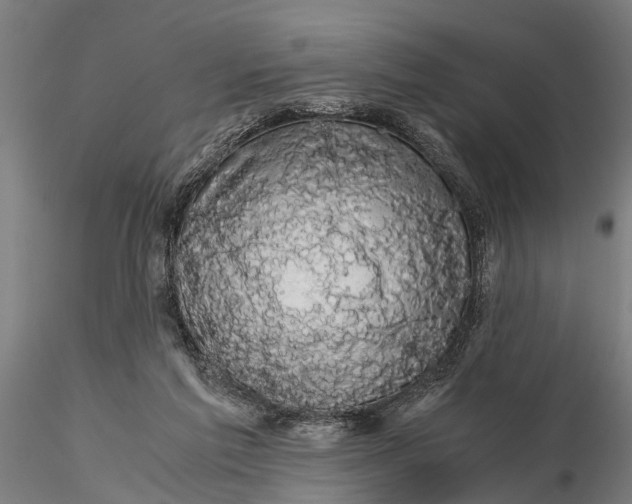 X0000116120213200912141053
