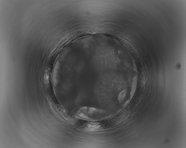 X0000116120214200912141053
