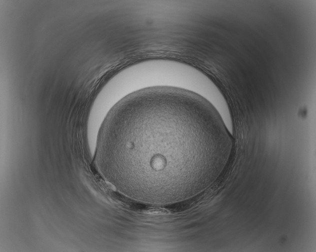 X0000116120215200912141053