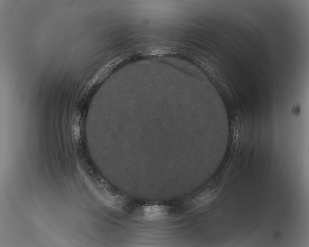 X0000116120216200912141053