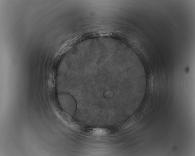 X0000116120218200912141053
