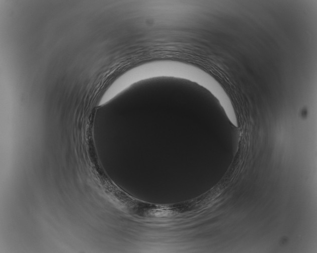 X0000116120219200912141053