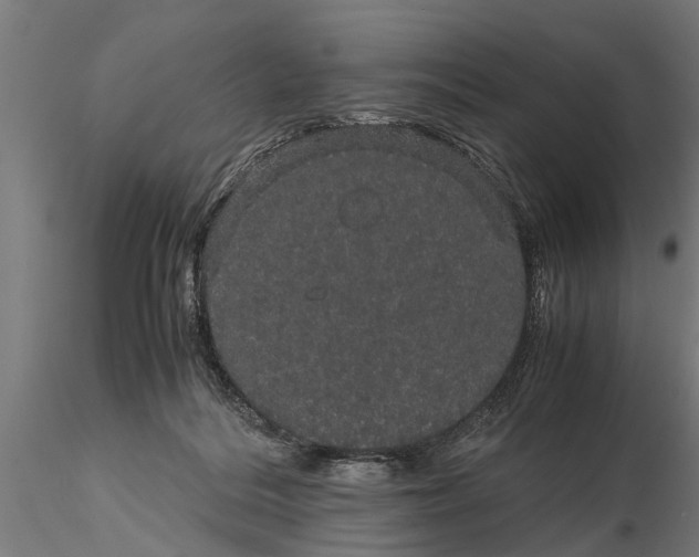 X0000116120220200912141053