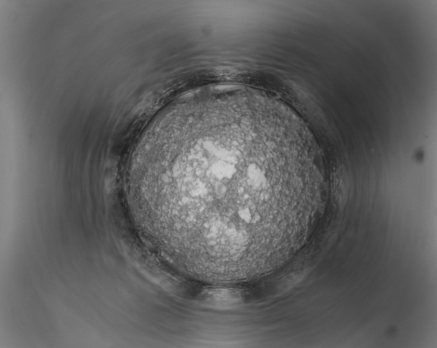 X0000116120221200912141053
