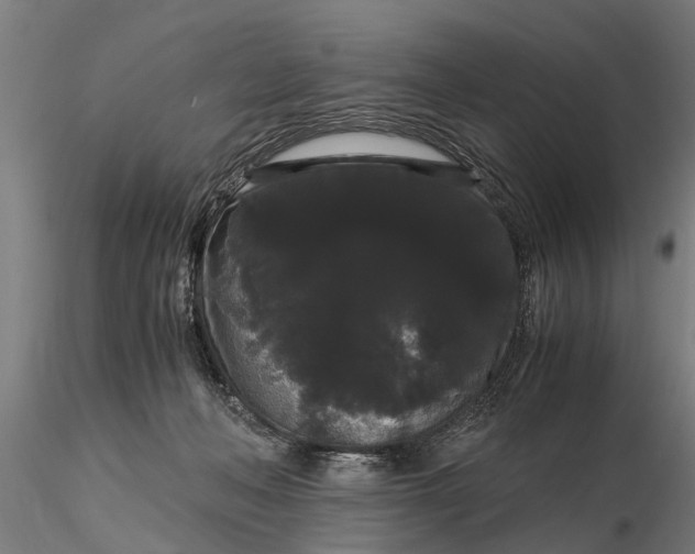 X0000116120222200912141053