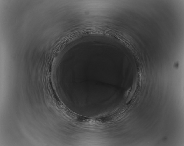 X0000116120223200912141053