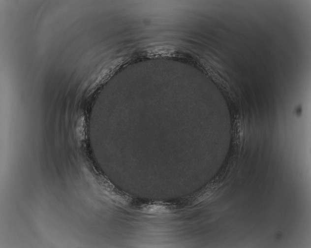 X0000116120224200912141053