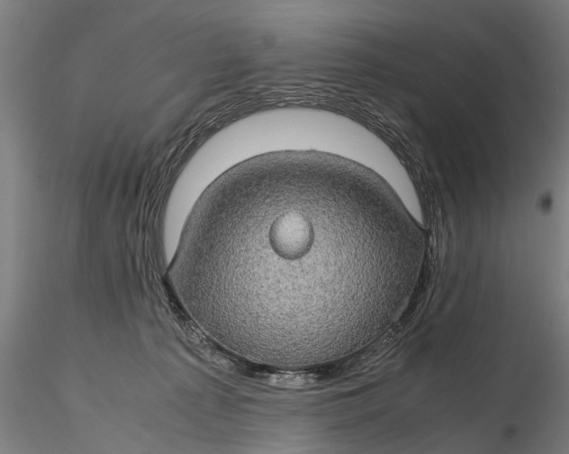 X0000116120225200912141053