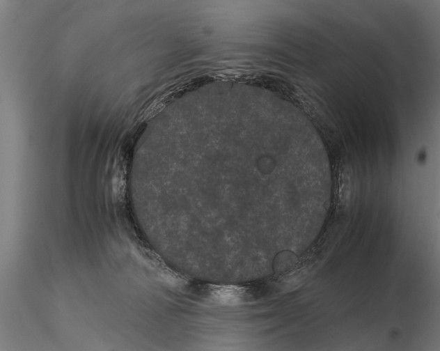 X0000116120226200912141053