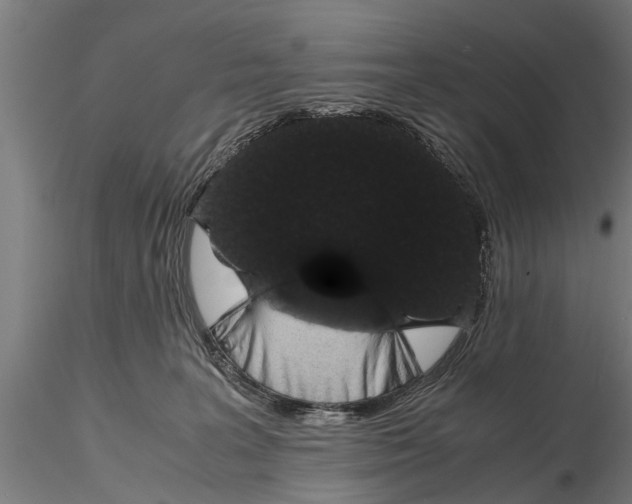 X0000116120227200912141053