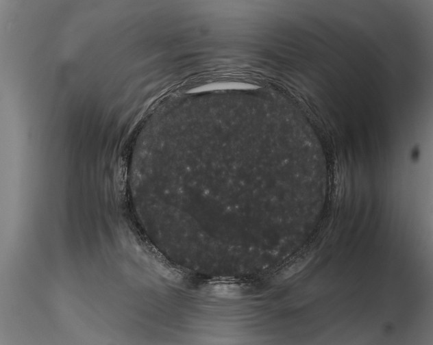 X0000116120228200912141053