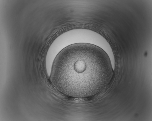 X0000116120229200912141053